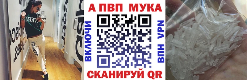 Альфа ПВП СК КРИС  Духовщина 