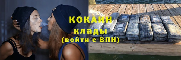 ПСИЛОЦИБИНОВЫЕ ГРИБЫ Семёнов