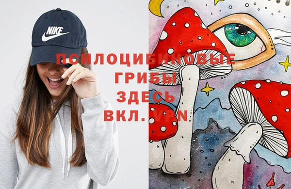 гашик Абинск